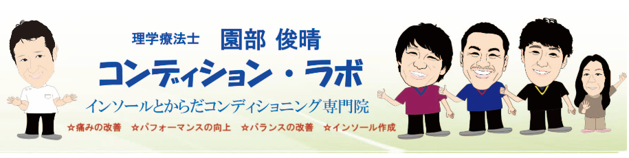 園部俊晴の書籍